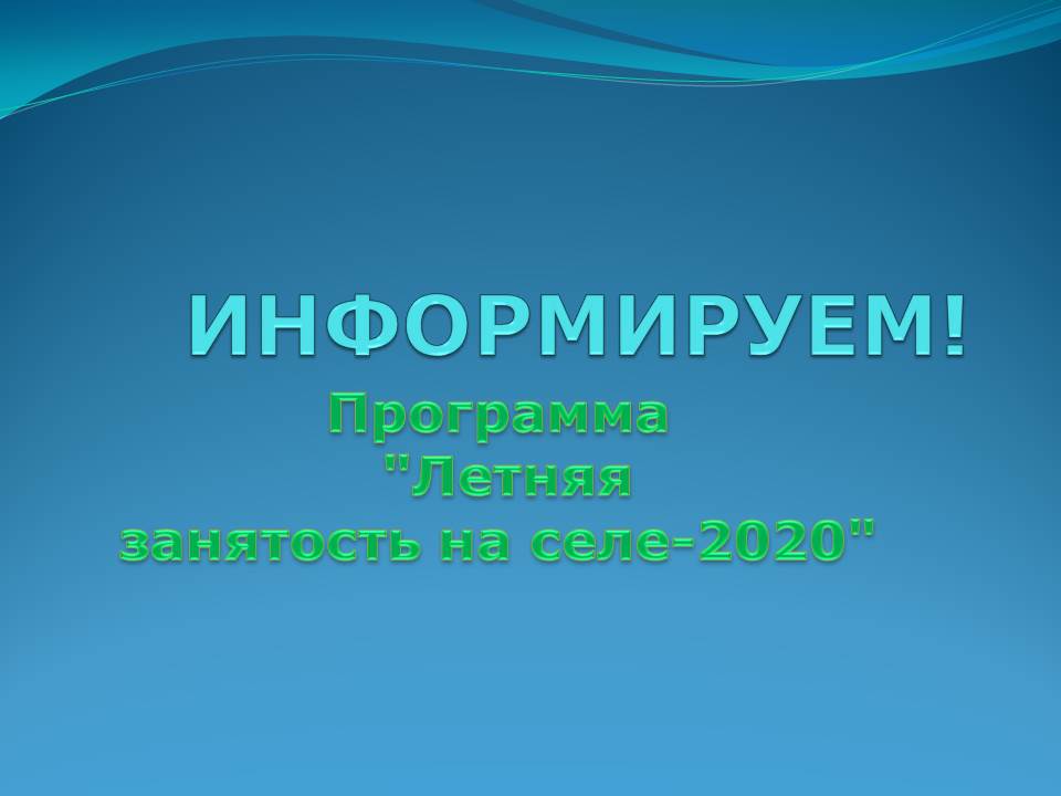 Программа "Летняя занятость на селе-2020"